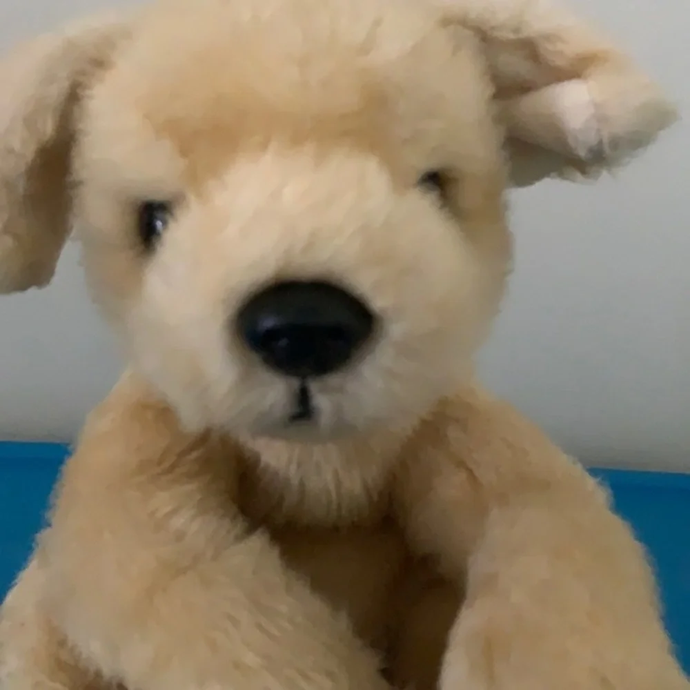 Ty dog pre
